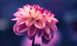 Featured image of post 叙事