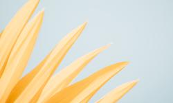 Featured image of post 诗篇